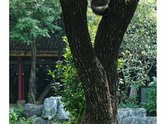 -顺峰山公园