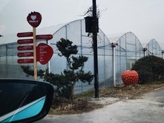 -建德果蔬乐园绪塘草莓基地