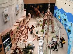 -陕西自然博物馆