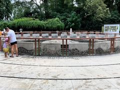 -成都市活水公园