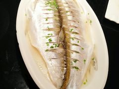 美极蒸白鱼-粗茶淡饭(渔港路店)