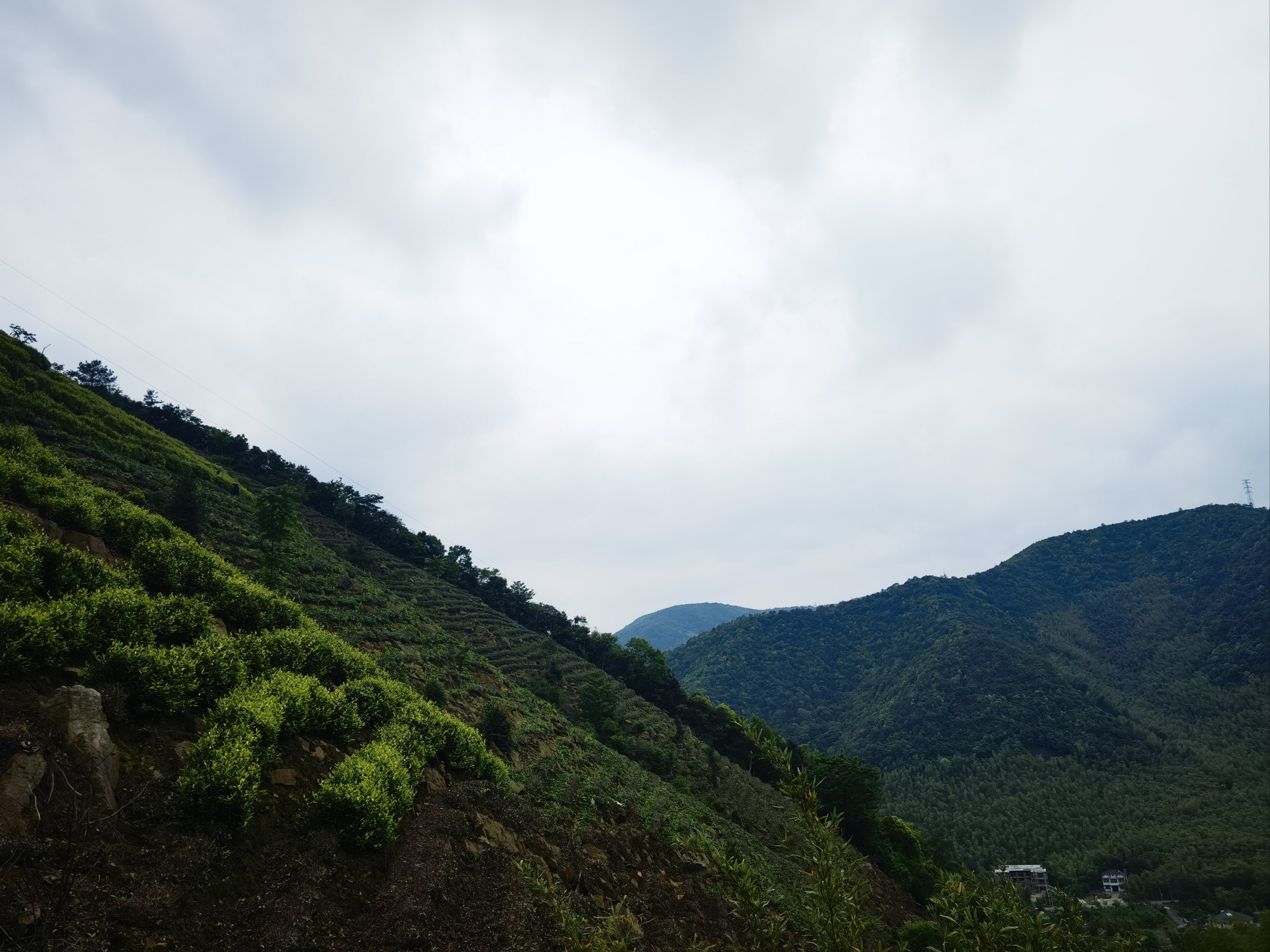 长兴川步村景区图片