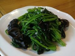 -WILDS 野有食(碧坞店)