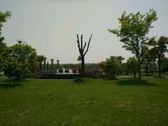 -明珠湖天鹅苑·农家菜馆