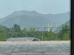 -浔味·山屿湖·正宗淳牌全鱼宴老字号