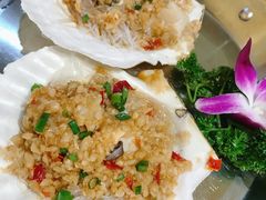 蒜蓉粉丝蒸扇贝-必点海鲜·鲅鱼水饺(鞍山西道店)