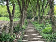 -南北湖风景区