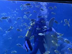 -左海海底世界