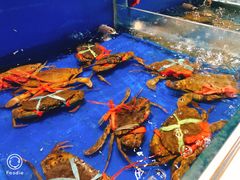 -姜君·千岛湖鱼头馆(浦东大道店)
