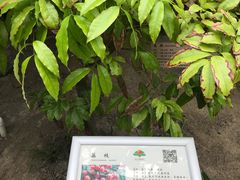 景点-晶宝温泉农庄