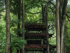 -青城山