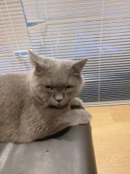 点击看大图 -飛凡TATTOO纹身•原创