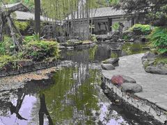-南山植物园