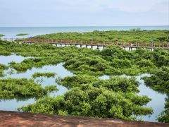 -北海金海湾红树林生态旅游区