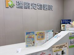 -瑞鹏宠物医院·超声·骨科·奇麟分院(蜀都万达店)