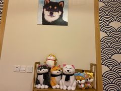 -柴犬小屋·柴餐厅·狗咖食堂(金鼎广场店)