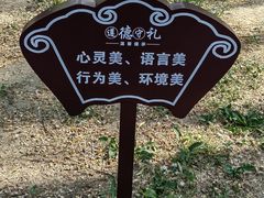 -莲花池公园