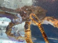 -御同亨酒楼·喜宴