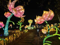 -琅岐红光湖公园