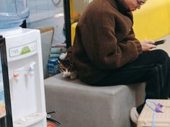 -半岛宠物医院24小时(科华中路店)