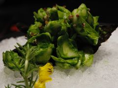 -江南雅厨(李公堤店)