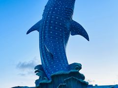 -珠海长隆海洋王国
