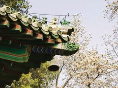 -潭柘寺景区
