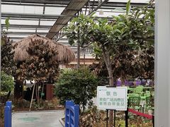 -南宫五洲植物乐园