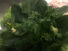 -百年果林椰子鸡(中洲店)