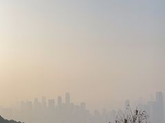 -南山植物园