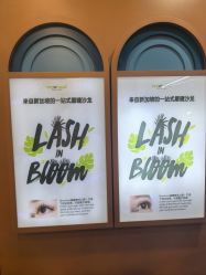 -Browhaus眉睫沙龙