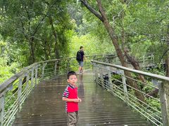 -西湖风景区-江洋畈生态公园