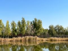-永定河休闲森林公园