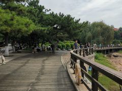 -青岛第三海水浴场