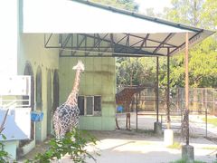 -红山森林动物园