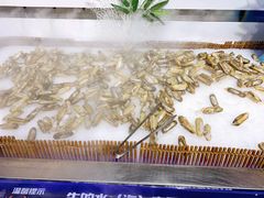 -圣罗巴甄选自助(麦凯乐店)