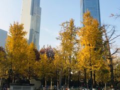 -重庆市江北嘴中央商务区中央公园