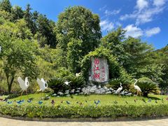 -广州白江湖森林公园