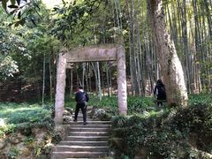 -杭州黄龙洞