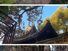 -无锡梅园公园
