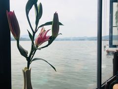 -柳莺湖上·湖景餐厅·江南菜(西湖店)