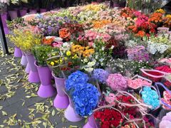 -宝鸡东道花鸟鱼虫市场(吉利花园商场店)