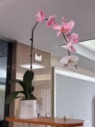 点击看大图 -AGAXI美甲美睫