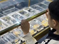 -上海跨国采购会展中心
