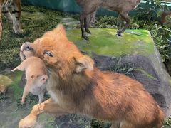 -国家自然博物馆