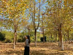 -艾溪湖湿地公园