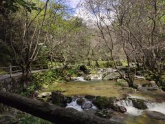 -牛背梁国家森林公园