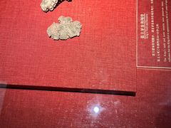 -南越王博物院(王宫展区)