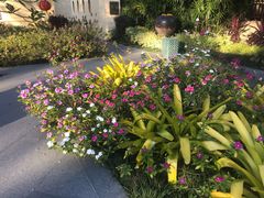 -四季酒店下午茶