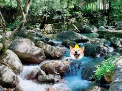 -白云源风景区